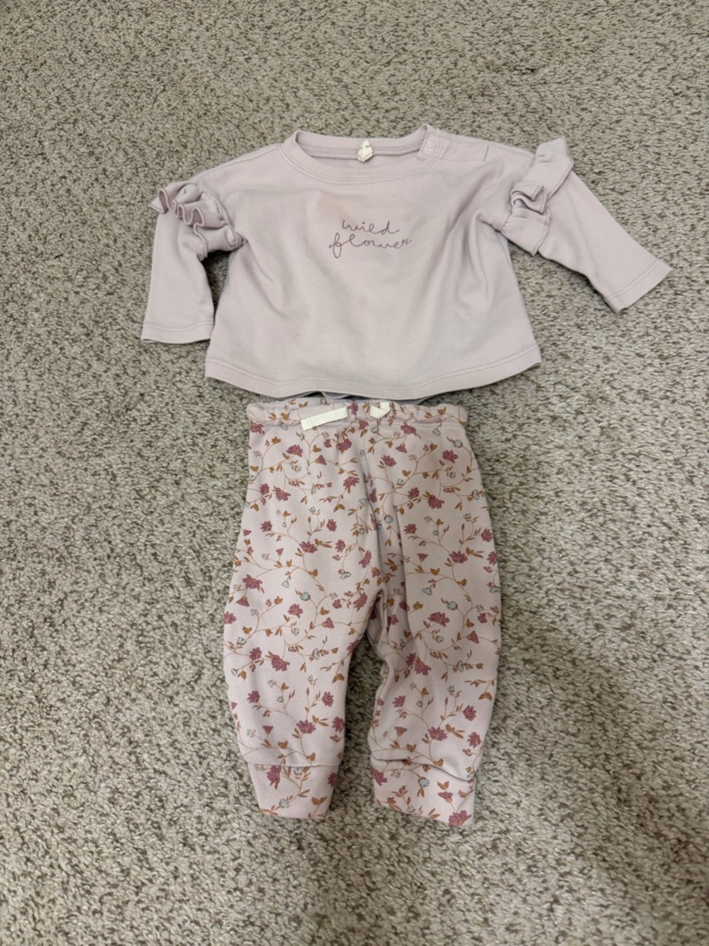 Quincy Mae Lilac Wildflower Set